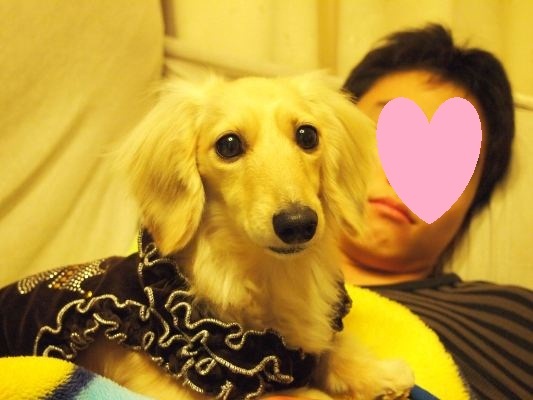 0000014163-具合が悪い長男の上で@.jpg