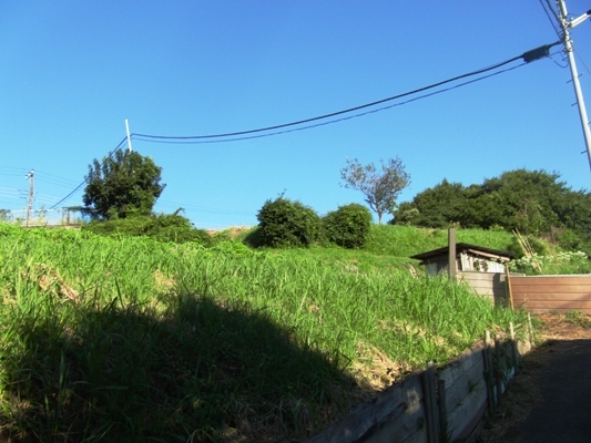 006a0918.jpg
