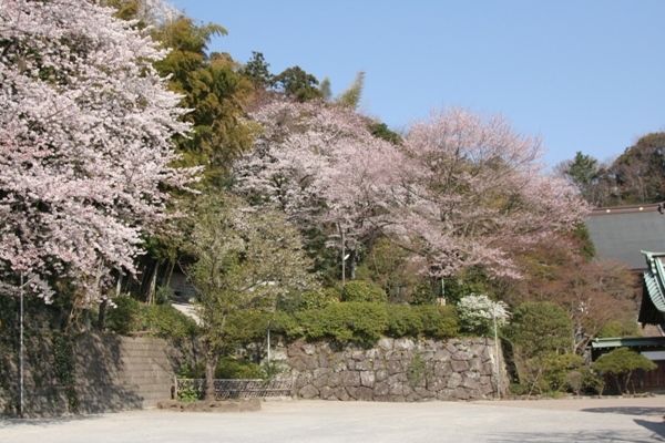 021@久常寺.jpg