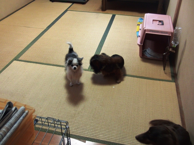 024a0928.jpg