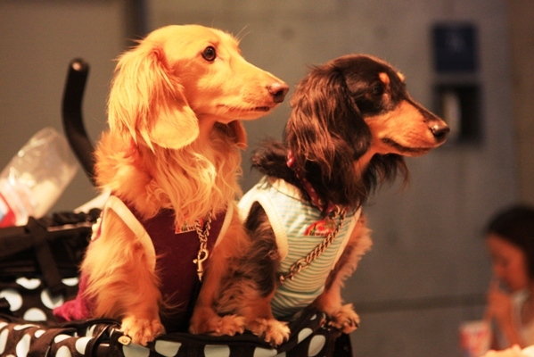 034@イベント.jpg