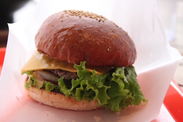 181nasu2010.jpg