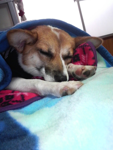 2011101916110001.jpg