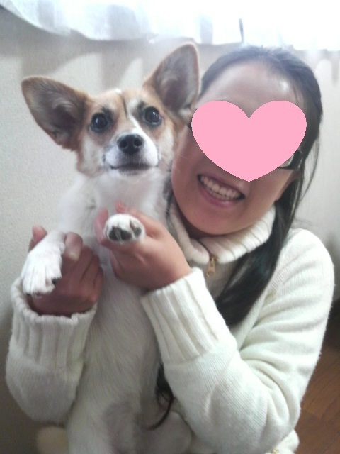 2011112614440000.jpg