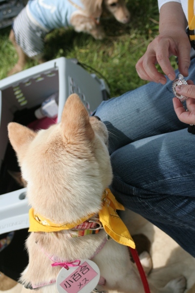 2012-05-20 001@篠崎.jpg
