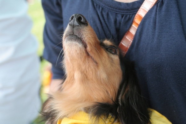2012-05-20 003@篠崎.jpg