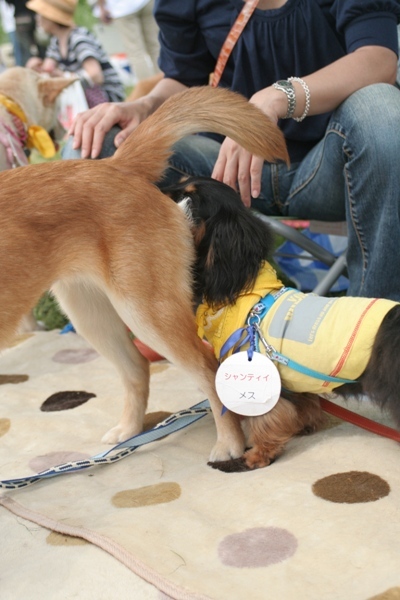 2012-05-20 008@篠崎.jpg