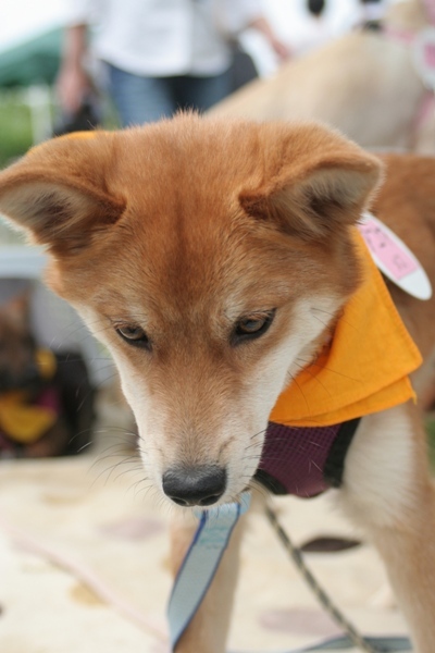 2012-05-20 009@篠崎.jpg