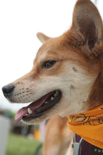 2012-05-20 013@篠崎.jpg