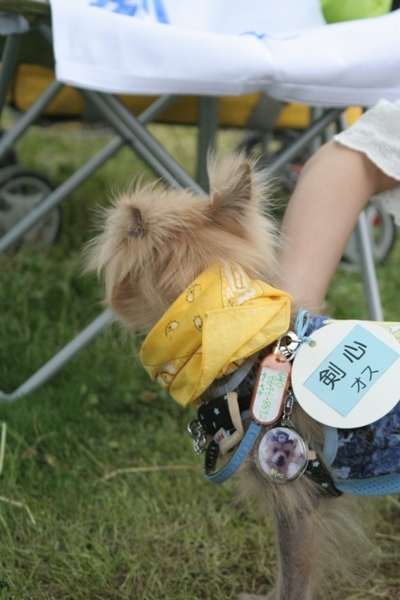 2012-05-20 014@篠崎.jpg