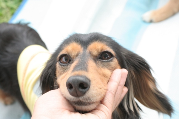2012-05-20 019@篠崎.jpg