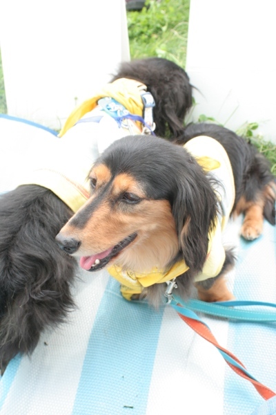 2012-05-20 021@篠崎.jpg