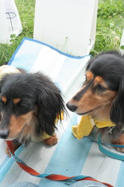 2012-05-20 024@篠崎.jpg