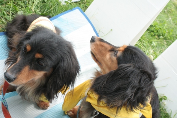 2012-05-20 025@篠崎.jpg