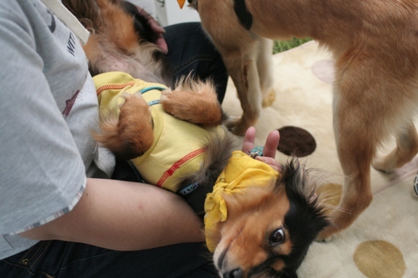 2012-05-20 028@篠崎.jpg