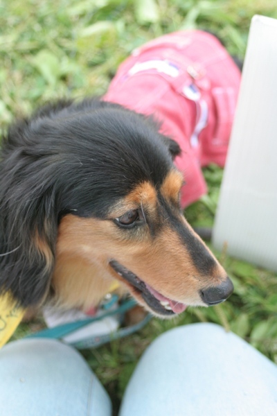 2012-06-03 013@湘南.jpg
