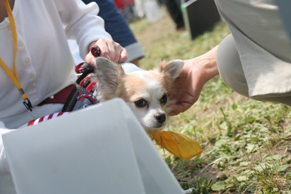 2012-06-03 020@湘南.jpg