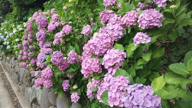2012-06-21 019.jpg