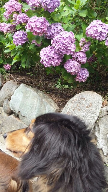 2012-06-21 035.jpg