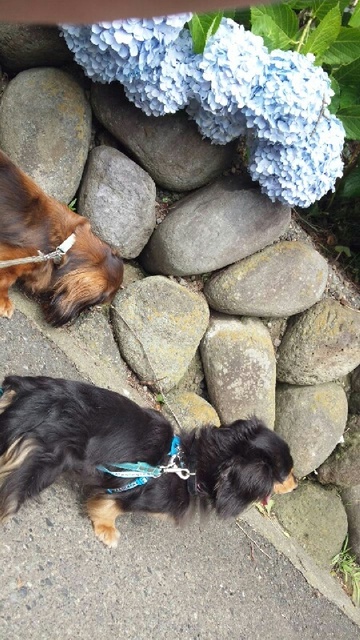2012-06-21 067.jpg