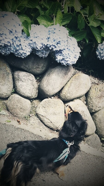 2012-06-21 074.jpg
