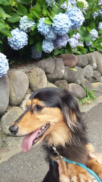 2012-06-21 099.jpg