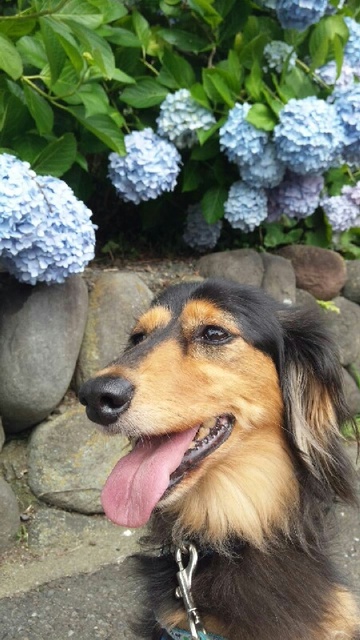 2012-06-21 107.jpg