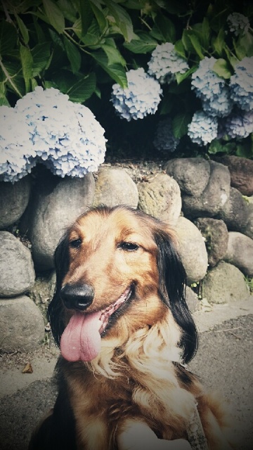 2012-06-21 114.jpg