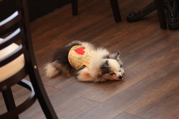 2012-08-10 042.jpg