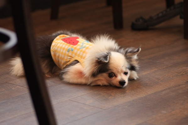 2012-08-10 043.jpg