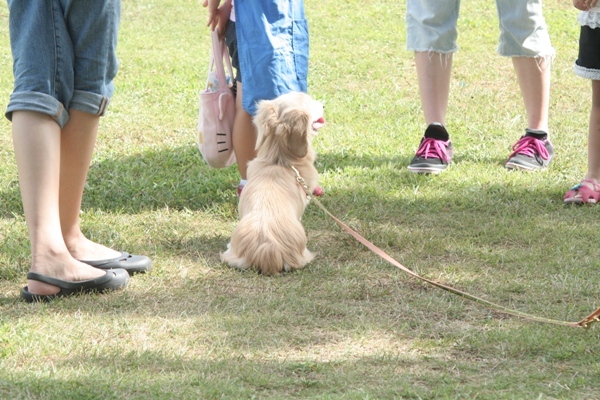 2012-08-18 011@里親会.jpg
