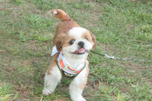 2012-08-18 021@里親会.jpg