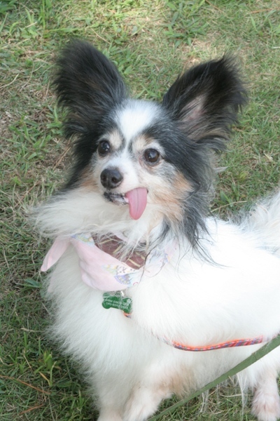 2012-08-18 031@里親会.jpg