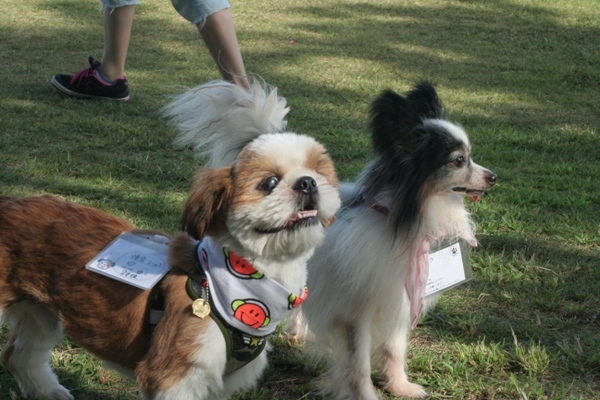 2012-08-18 047@里親会.jpg