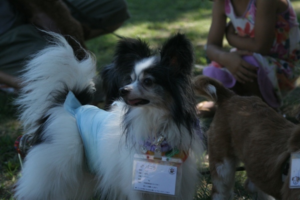 2012-08-19 003@里親会.jpg