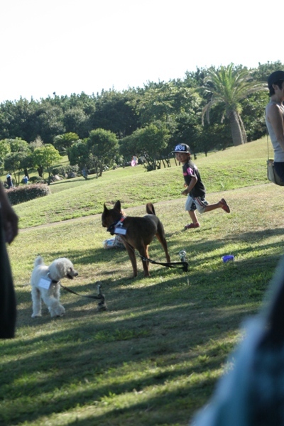 2012-08-19 014@里親会.jpg
