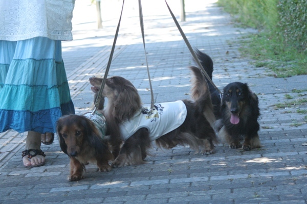 2012-08-23 075@interpets.jpg