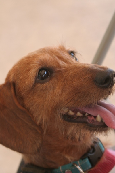 2012-08-23 095@tapa.jpg
