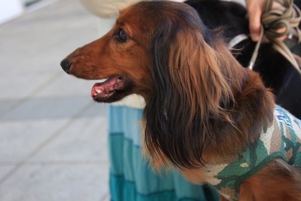 2012-08-23 275.jpg