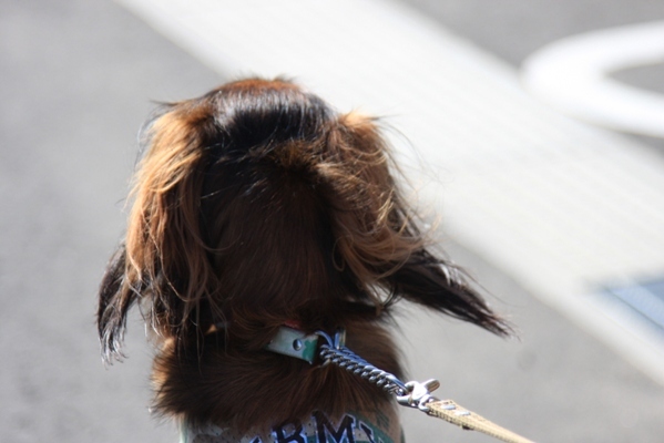 2012-08-23 277.jpg