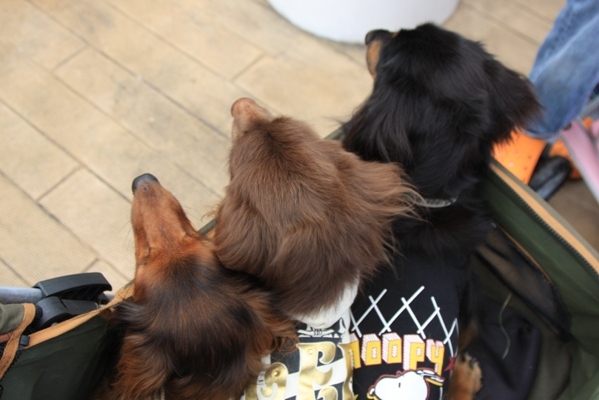 2012-08-23 280.jpg