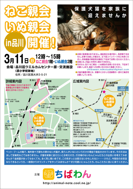 20120220220654624.jpg
