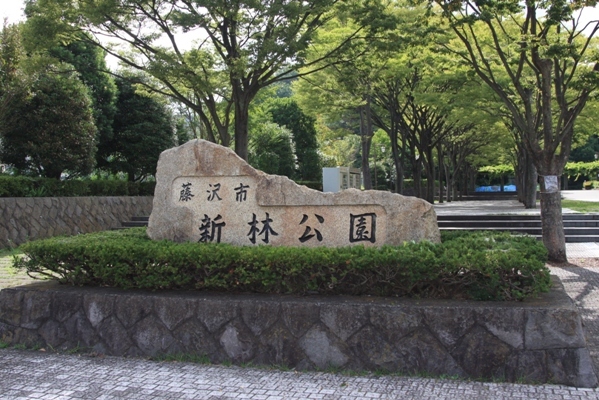 217@公園散歩.jpg