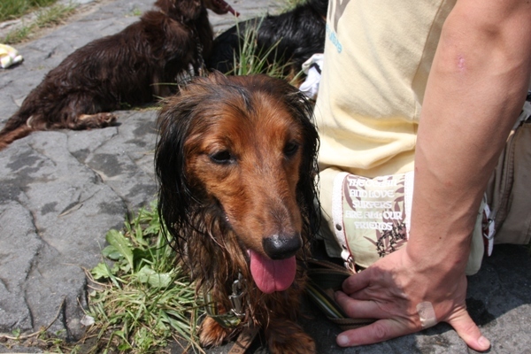 220nasu2010.jpg