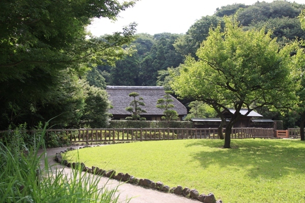 227@公園散歩.jpg