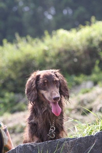 231nasu2010.jpg