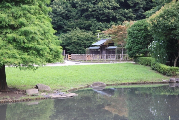 239@公園散歩.jpg