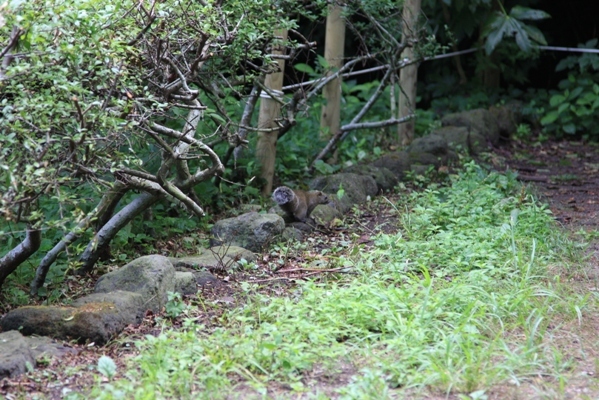241@公園散歩.jpg