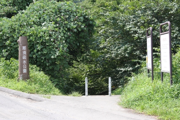 246nasu2010.jpg