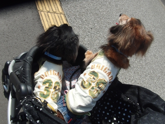 247@イベント.jpg
